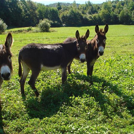 L'Oree Des Bois Dommartin-Les-Cuiseaux ภายนอก รูปภาพ